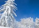 Фантастическое горнолыжное катание по лучшему в мире снегу. Туры на курорты о.Хоккайдо в Японию на сезон 2020. В стоимость включен перелёт!